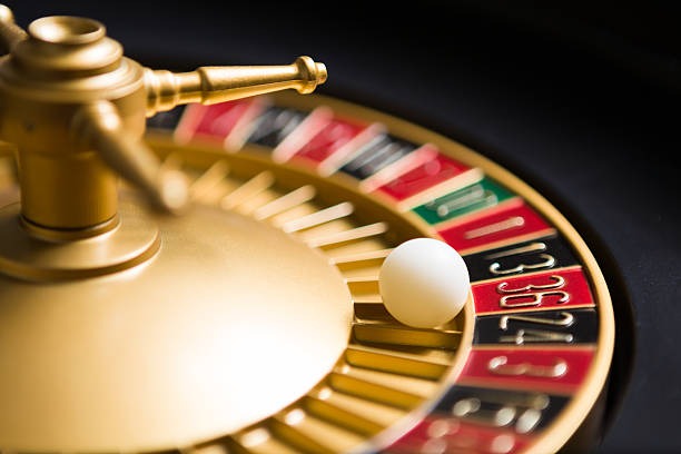 User betting dashboard